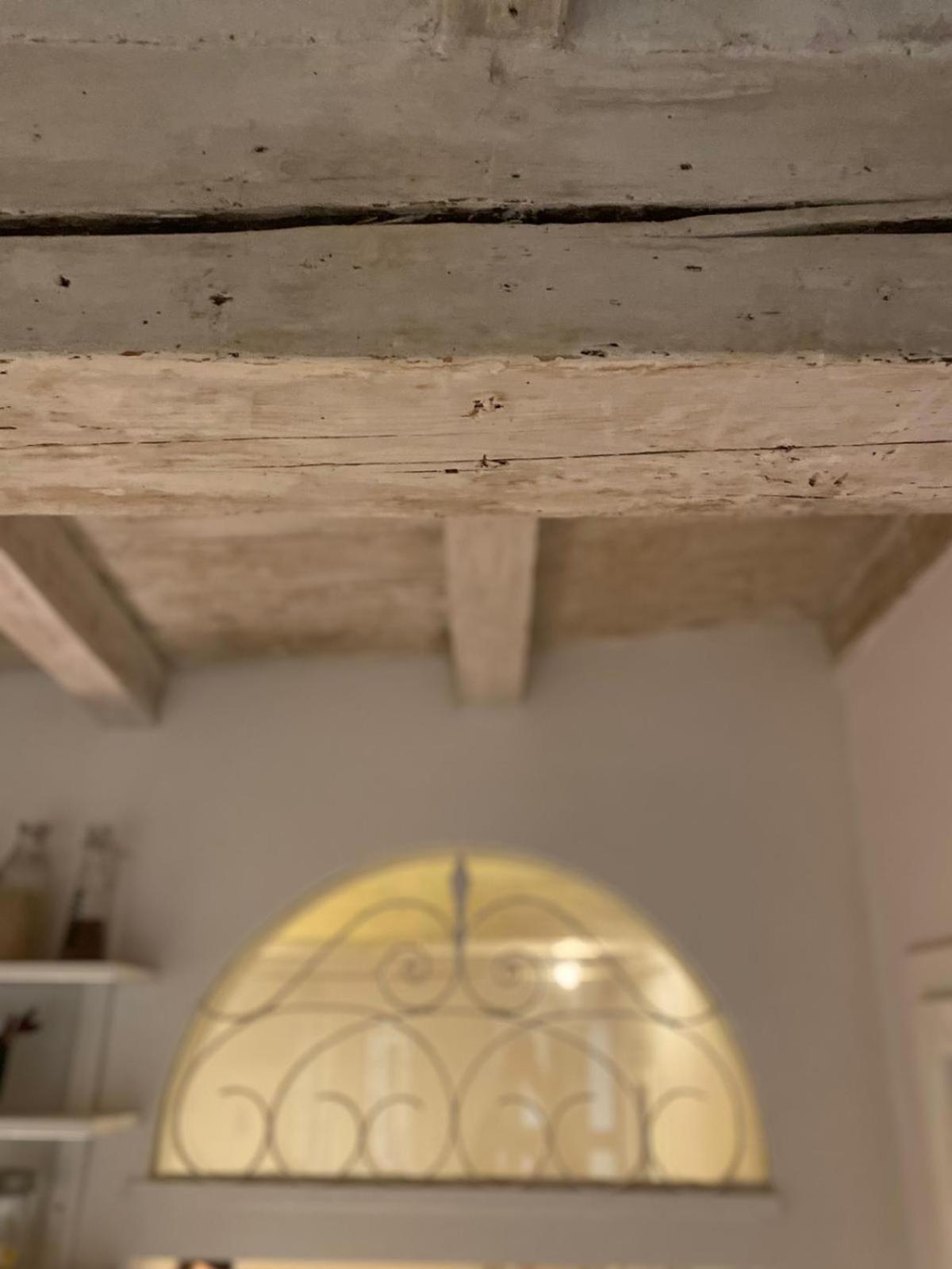 Casina Centotrecento-Romantic & Quite Apartment- Bologna Exterior photo